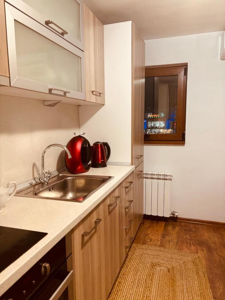Apartment Spacious With A Mountain View, Big Balcony And Parking Sofia